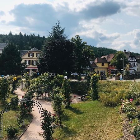 Le Belvedere - Gites Marck Turckheim Exteriör bild