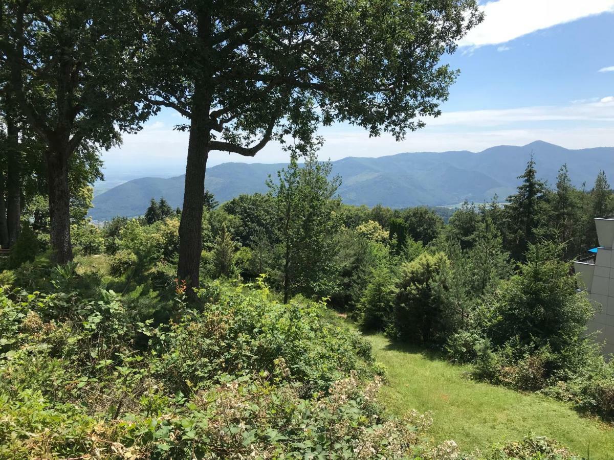 Le Belvedere - Gites Marck Turckheim Exteriör bild